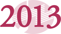 2013年 icon