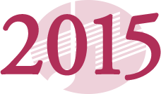 2015年 icon